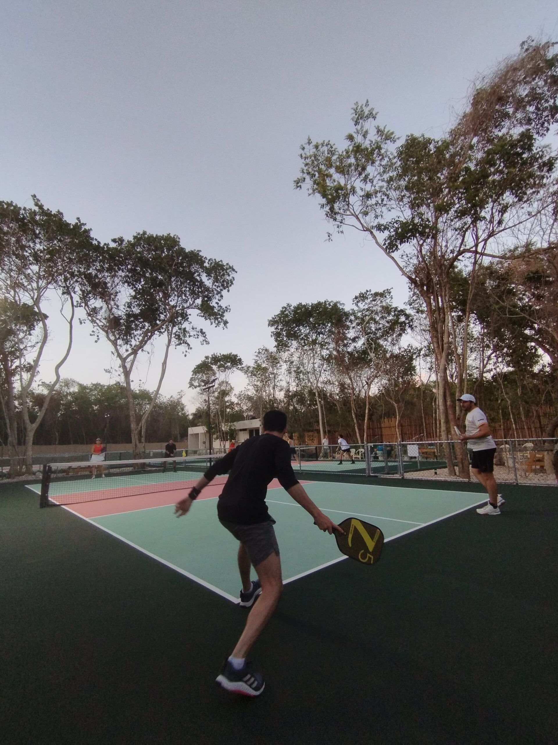  Pickleball para Adultos Mayores en Cancún